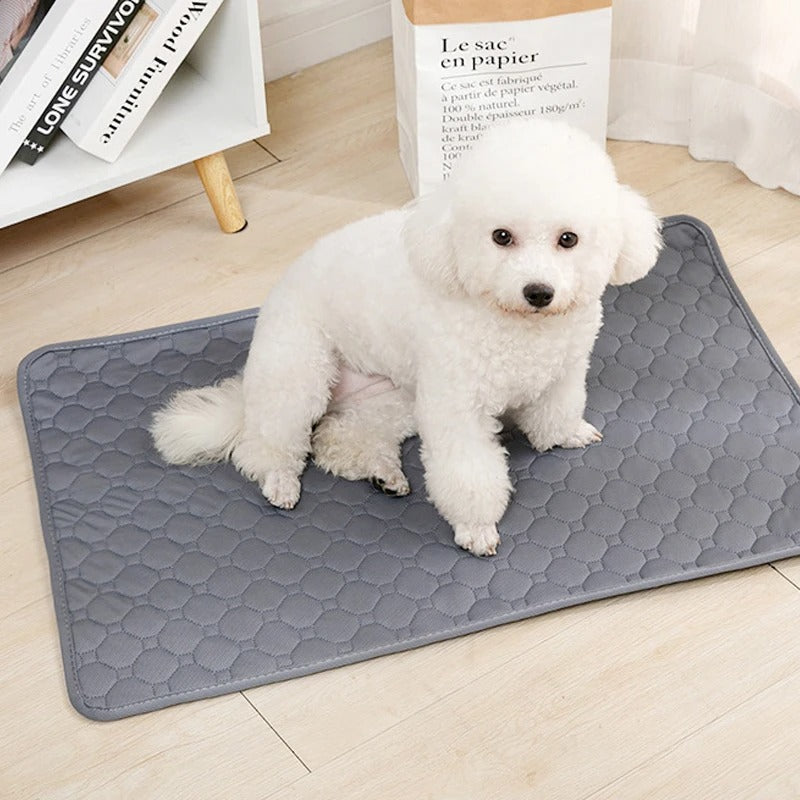Large Washable Dog Pee Pad