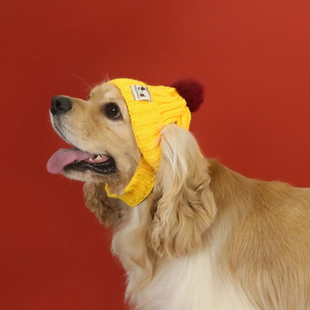 Dog Winter Knit Hat