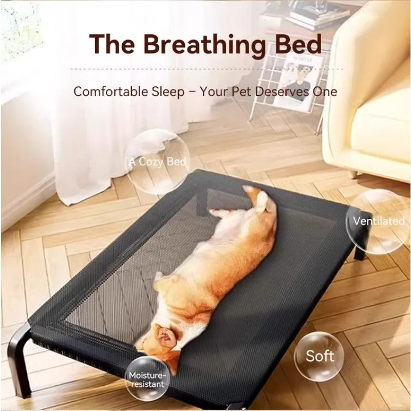 Elevated Dog Bed