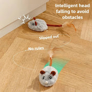 Interactive Cat Mouse Toy