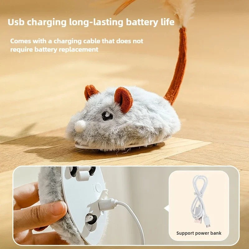 Interactive Cat Mouse Toy