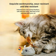 Interactive Cat Mouse Toy