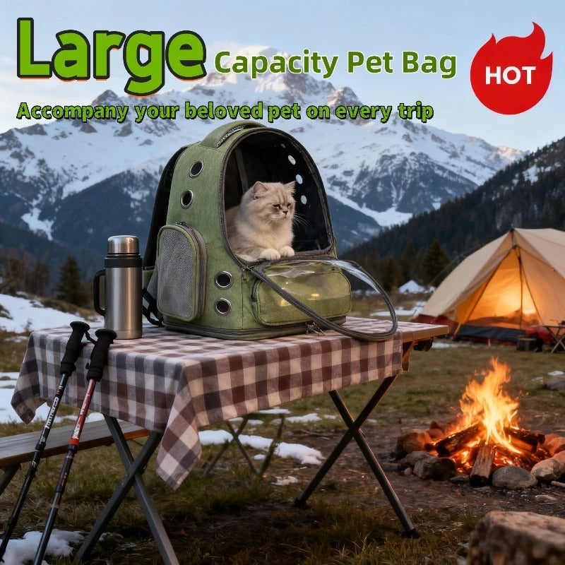 Clear Cat Backpack