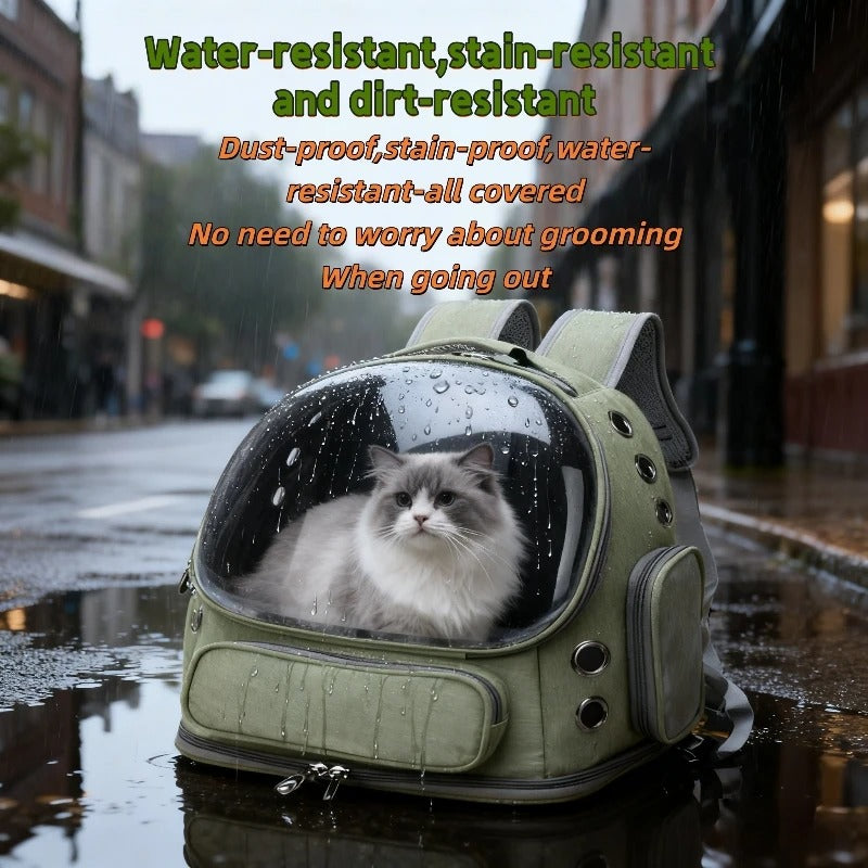 Clear Cat Backpack