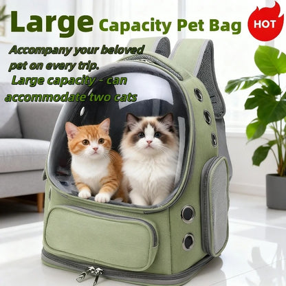 Clear Cat Backpack