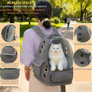 Clear Cat Backpack