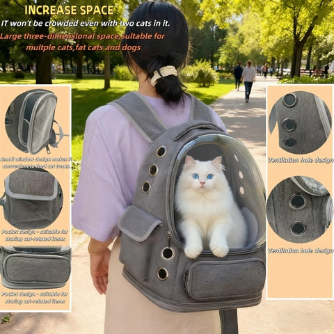 Clear Cat Backpack