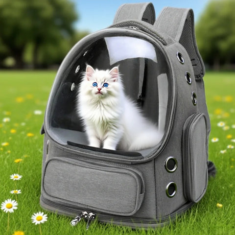 Clear Cat Backpack