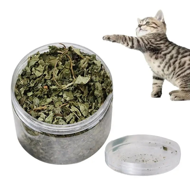 All Natural Cat Nip
