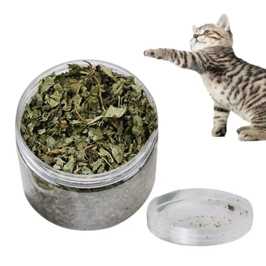 All Natural Cat Nip