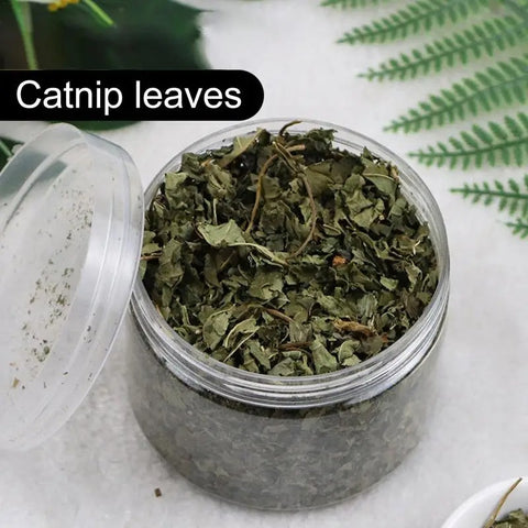 All Natural Cat Nip