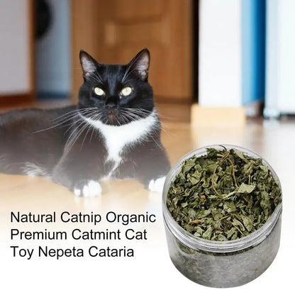 All Natural Cat Nip