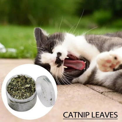 All Natural Cat Nip
