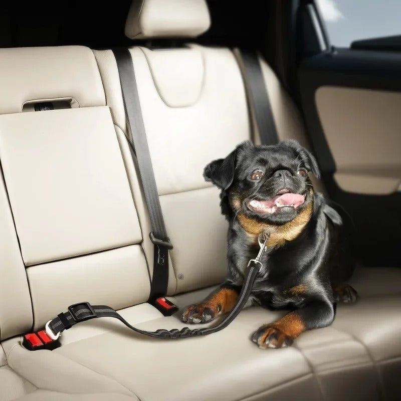 Adjustable Pet Car Seat Belt Leash