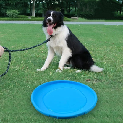 Dog Frisbee