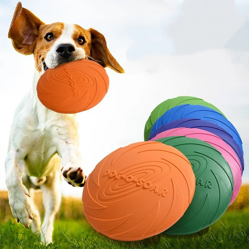 Dog Frisbee