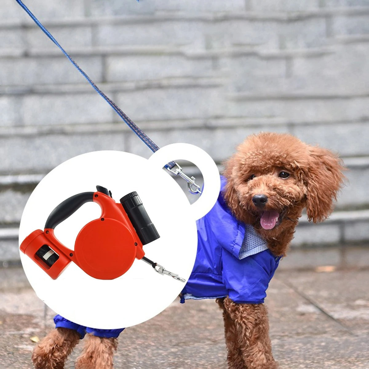 Retractable Dog Leash