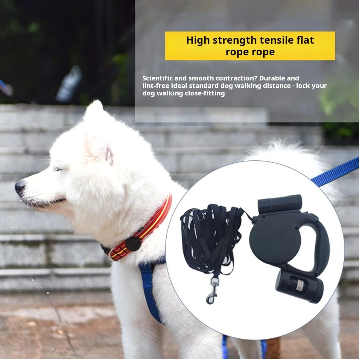 Retractable Dog Leash