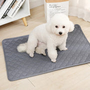 Large Washable Dog Pee Pad