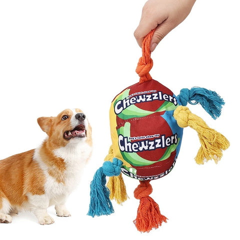 Dog Chew Toys