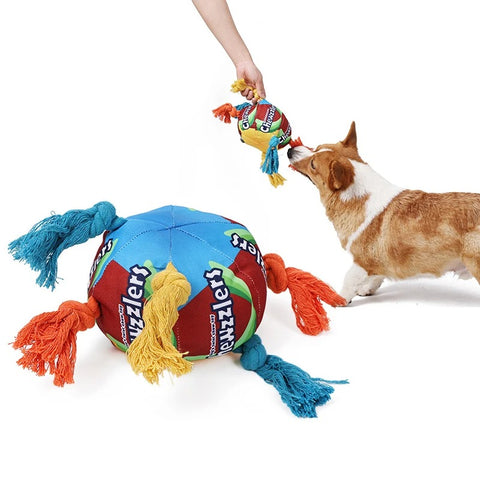 Dog Chew Toys