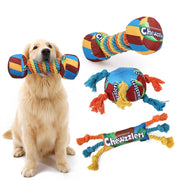 Dog Chew Toys