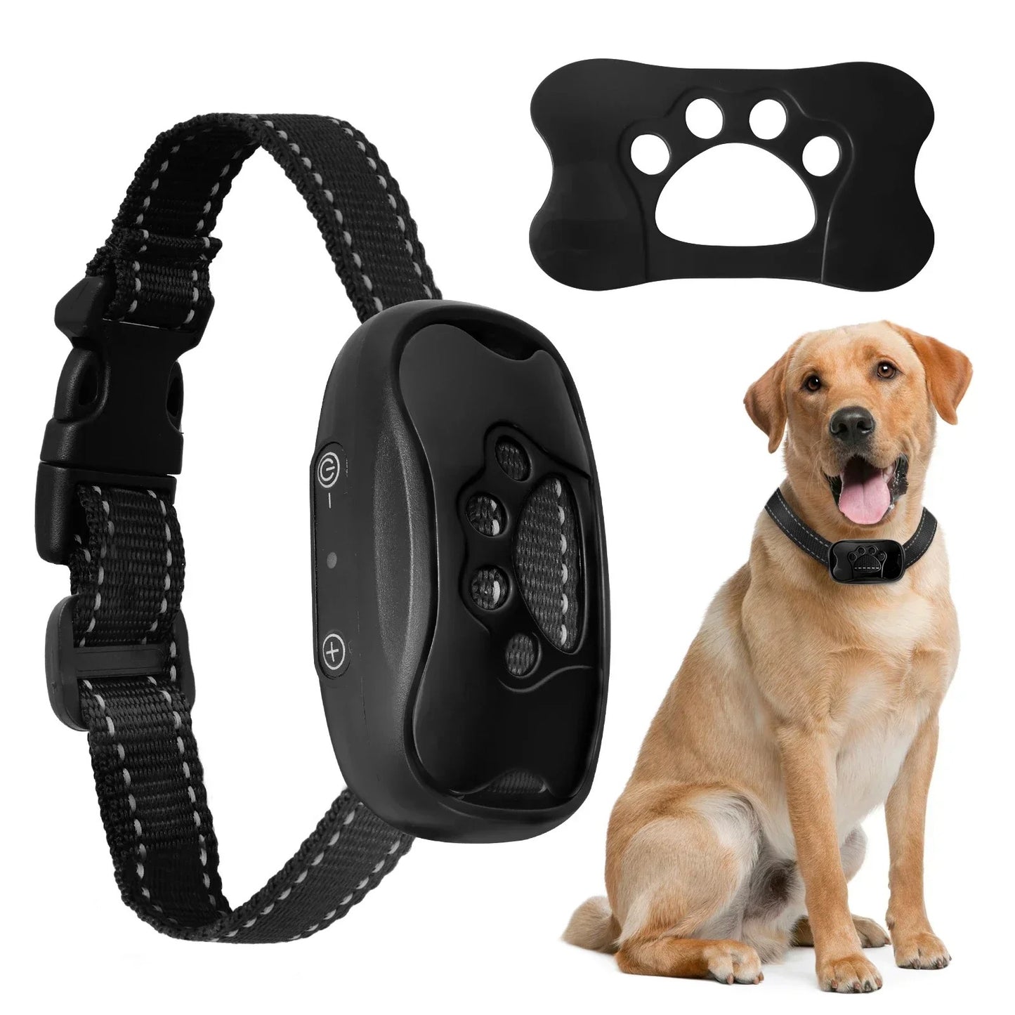 Humane Dog Collar
