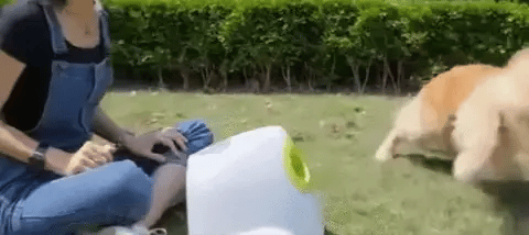 Automatic Dog Ball Launcher