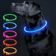 LED Dog Collar