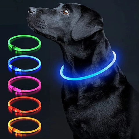 LED Dog Collar