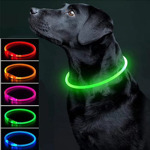 LED Dog Collar