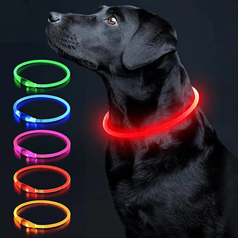 LED Dog Collar