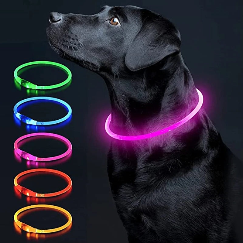 LED Dog Collar