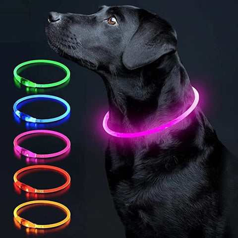 LED Dog Collar