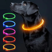 LED Dog Collar