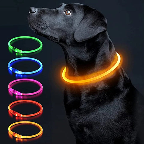 LED Dog Collar