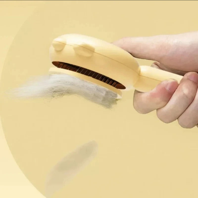 Pet Brush