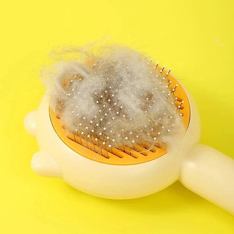 Pet Brush