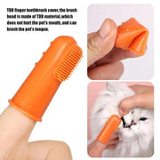 Pet Toothbrush + Toothpaste