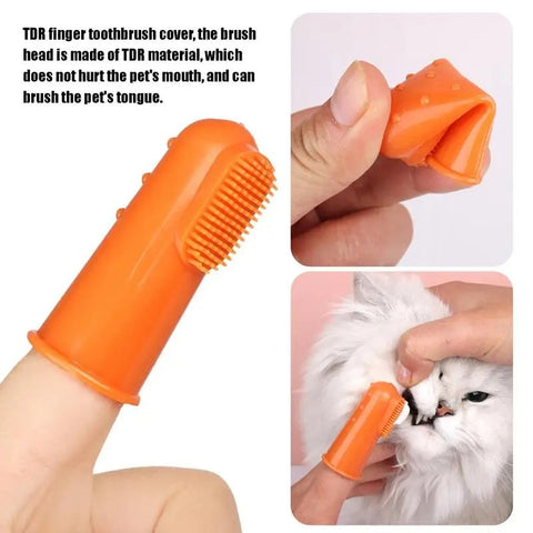 Pet Toothbrush + Toothpaste
