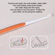 Pet Toothbrush + Toothpaste