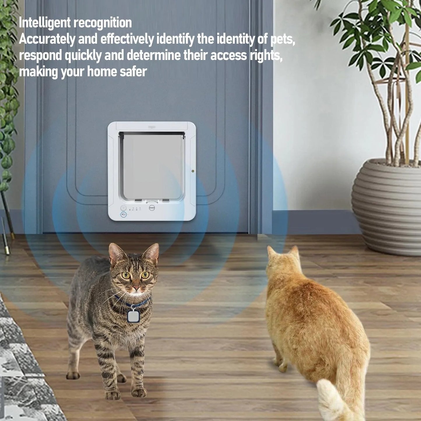 RFID Pet Door