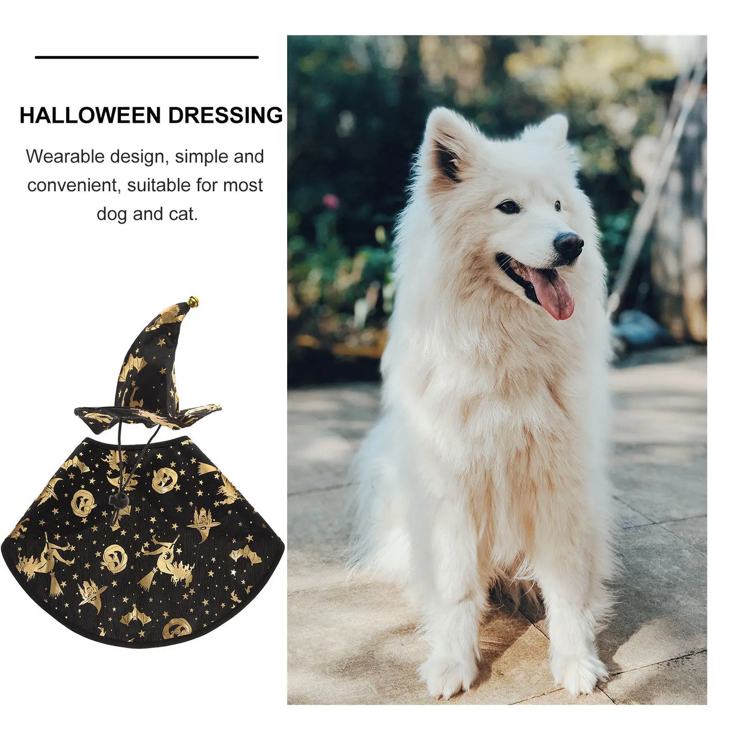Pet Halloween Wizard Costume