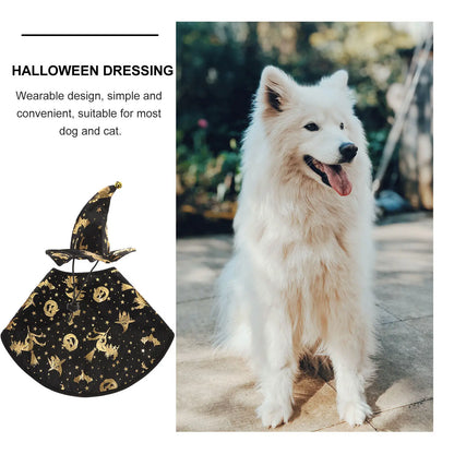 Pet Halloween Wizard Costume