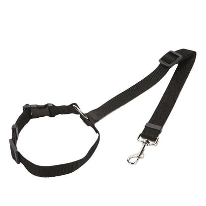 Blazin LED Dog Leash