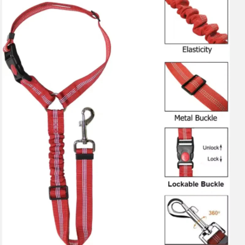 Blazin LED Dog Leash