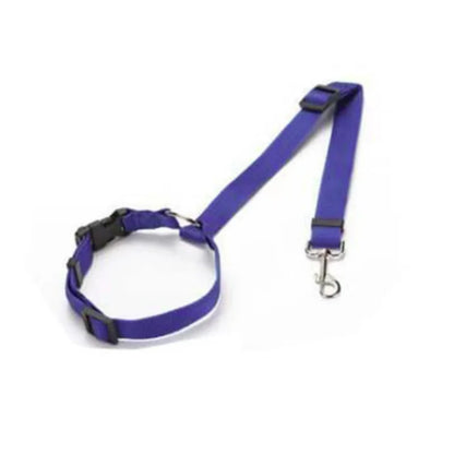 Blazin LED Dog Leash