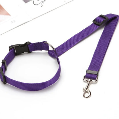 Blazin LED Dog Leash