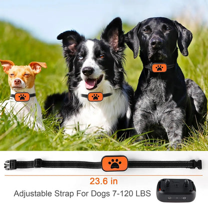 Humane Dog Collar