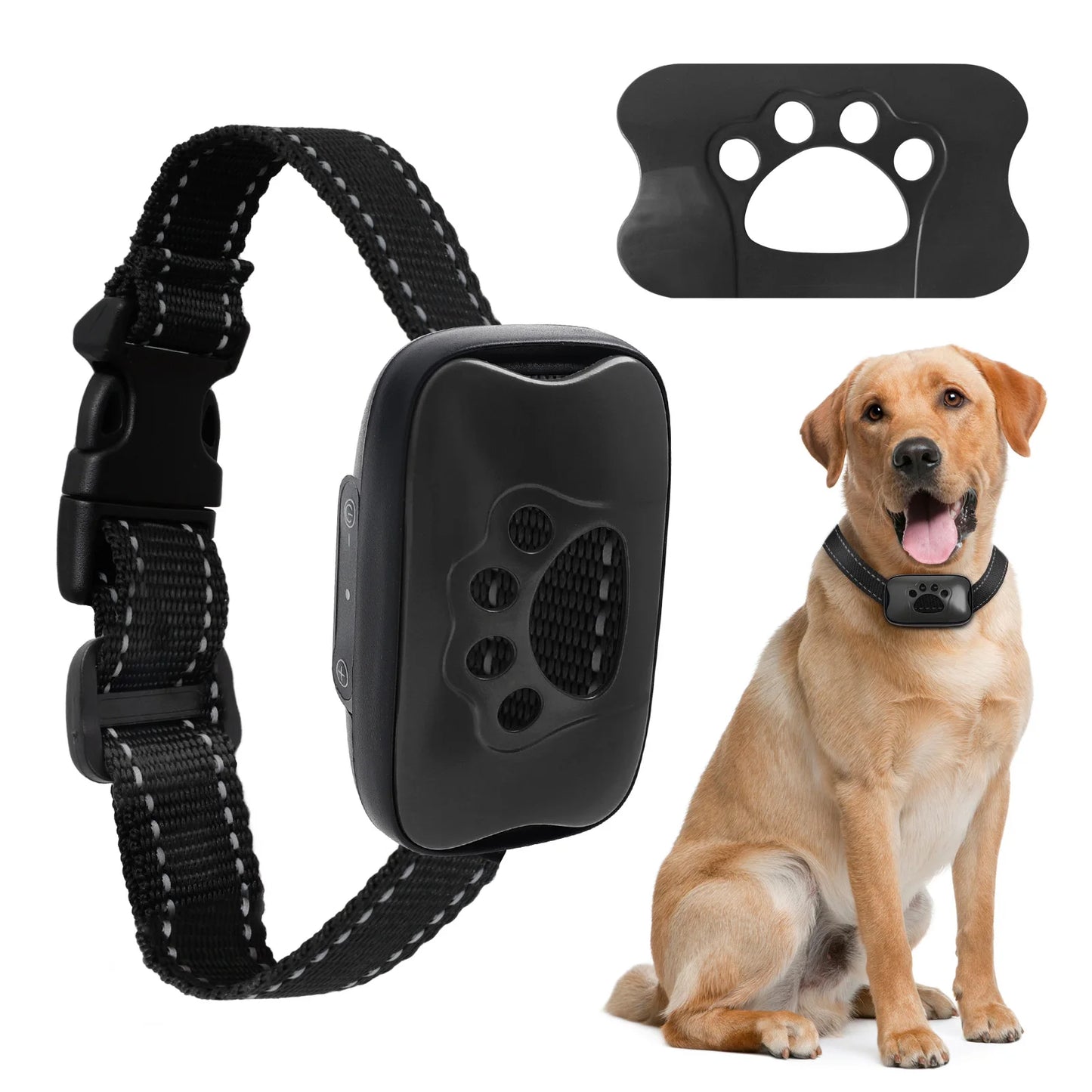 Humane Dog Collar
